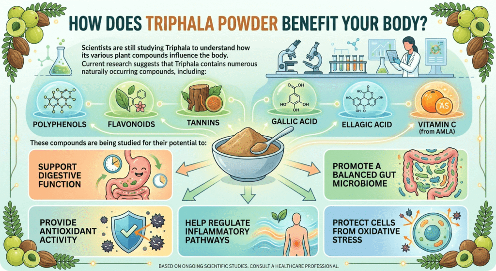 Triphala Powder Benefits